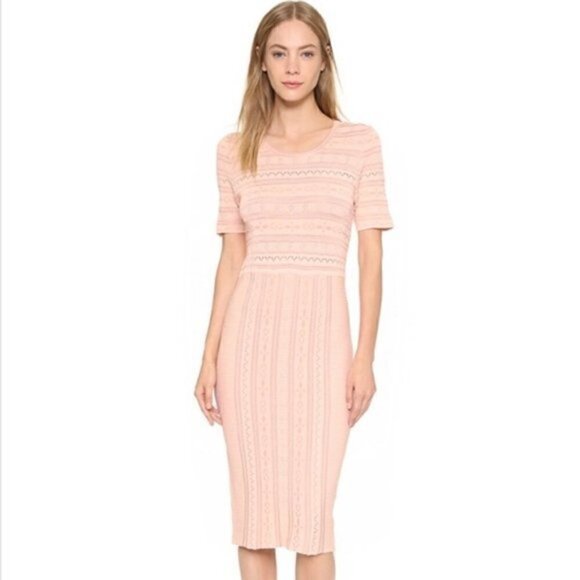 Ronny Kobo womens pink stretch Christina Pointelle dress size XS - Picture 16 of 16